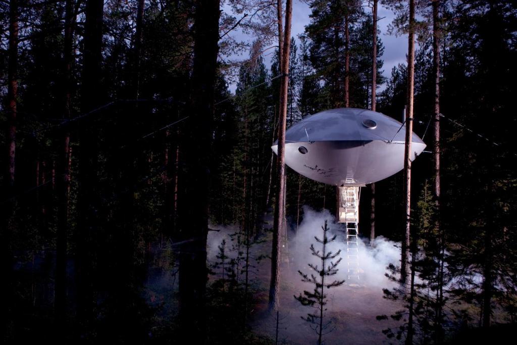 Treehotel Harads Room photo