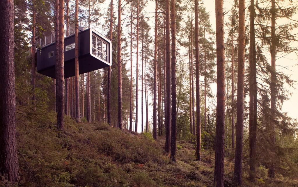 Treehotel Harads Room photo