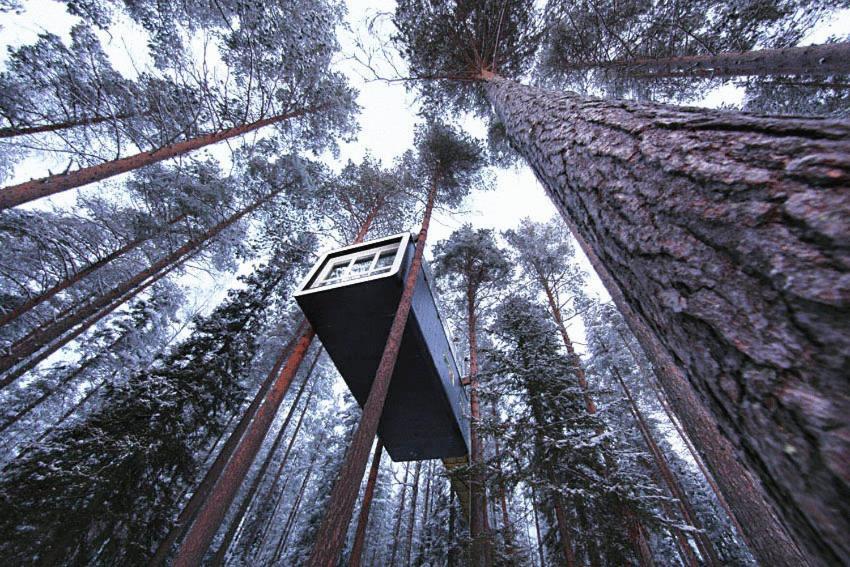 Treehotel Harads Room photo